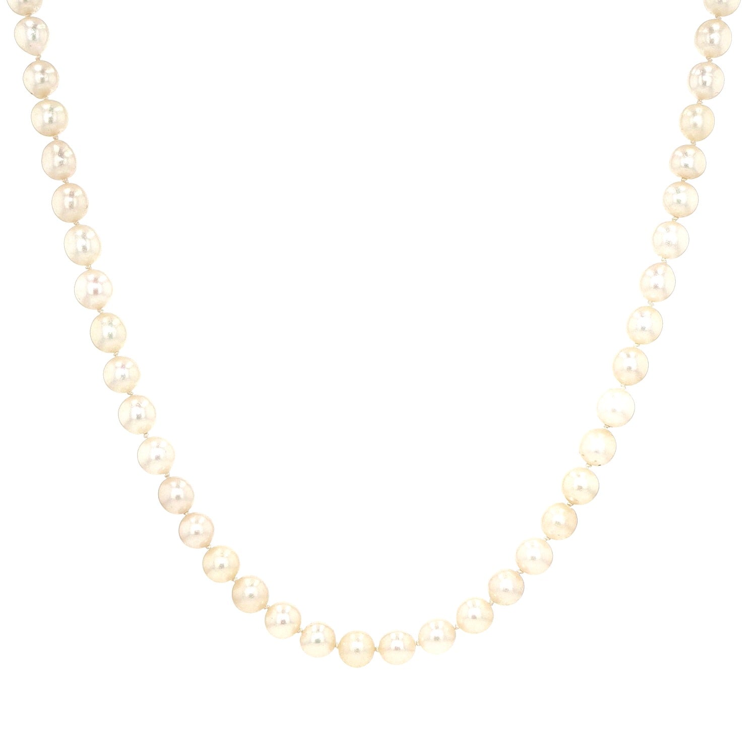 Collier mit Akoya-Zuchtperlen und Schloss in 585er Weißgold, hängend frontal