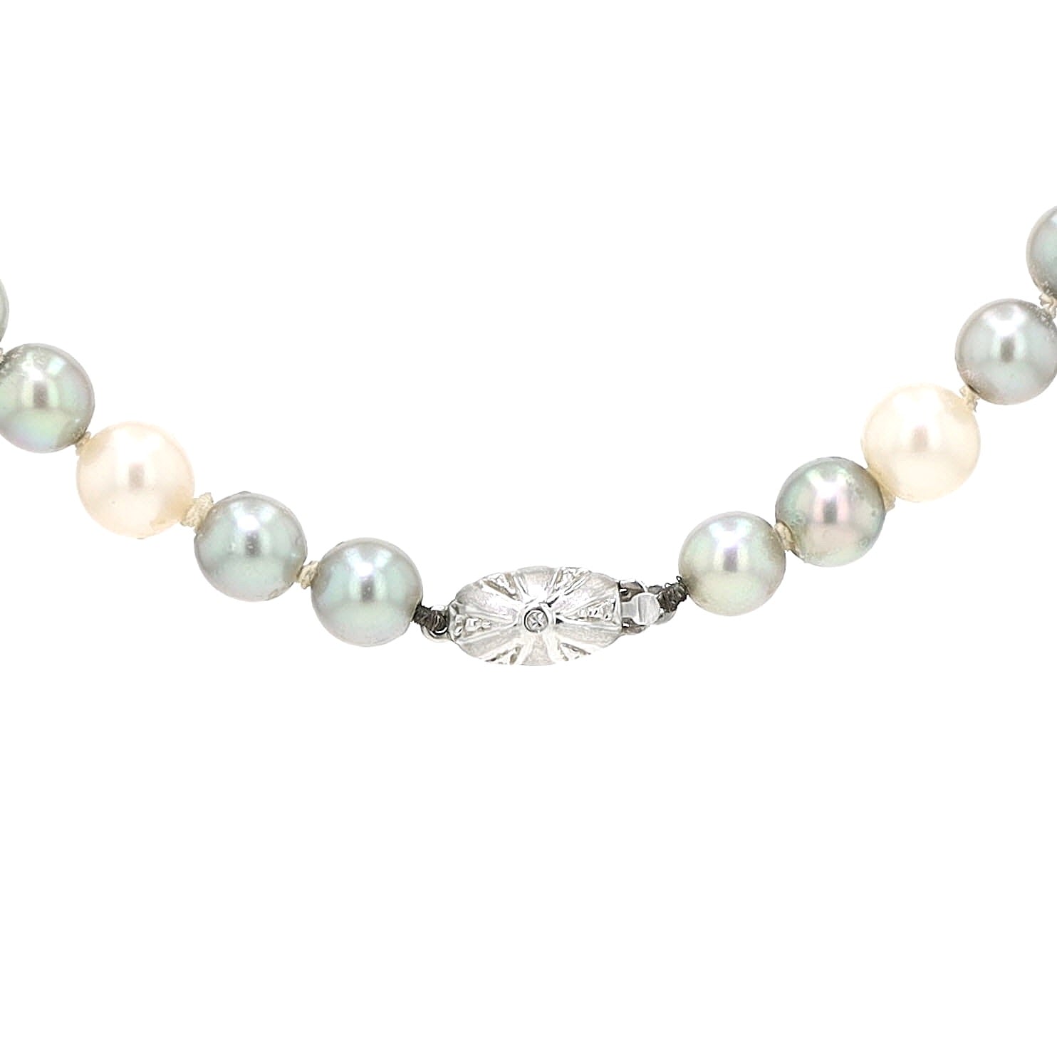 Zweifarbige Zuchtperlenkette mit einem 585er Weißgoldschloss und kleinen Diamanten , hängend frontal nah