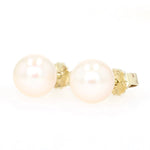 Pair of stud earrings in 333 yellow gold with one each cultured pearl, lying slightly turned to the left