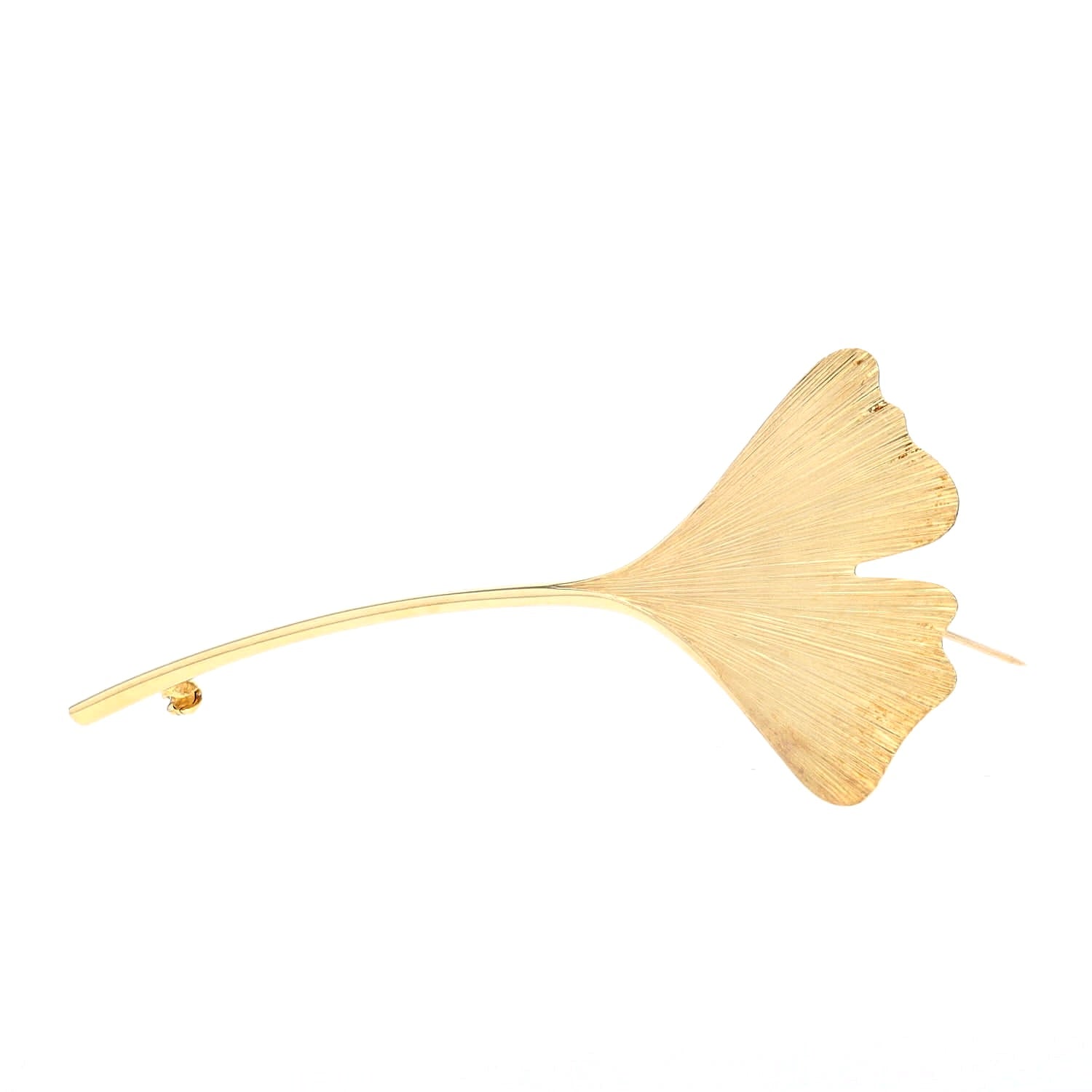 brooch in the shape of a Ginkgo leaf made of 375 yellow gold, lying frontally